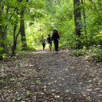 walking in forest