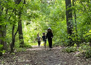 Children walking through forested trail