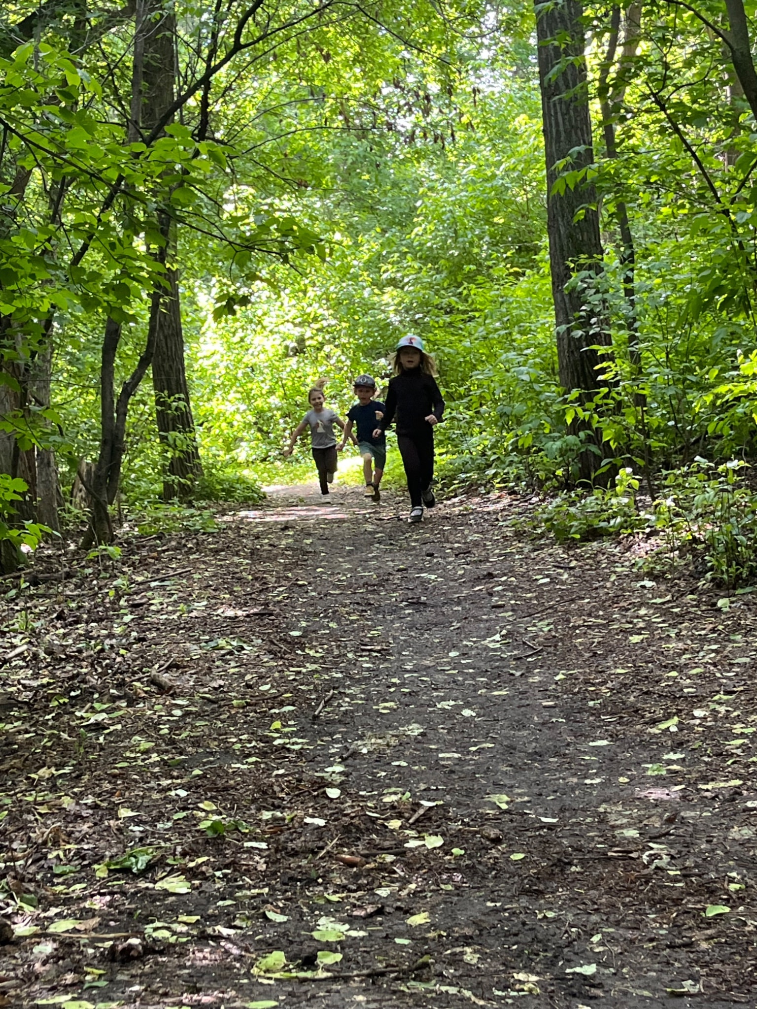 walking in forest