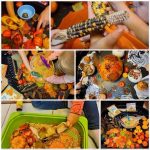 Fall Provocations and Child Activities