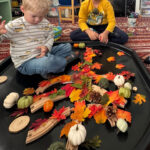 Autumn Tree with Train Tracks