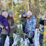 dragonfly discovery in winter