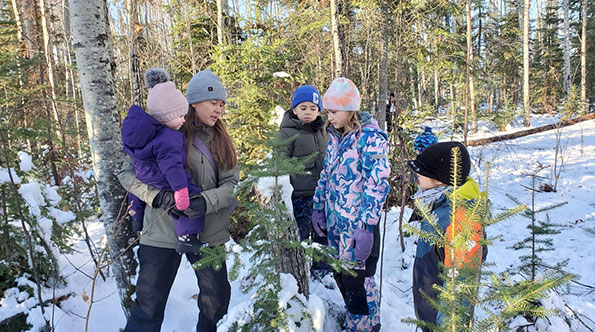 dragonfly discovery in winter