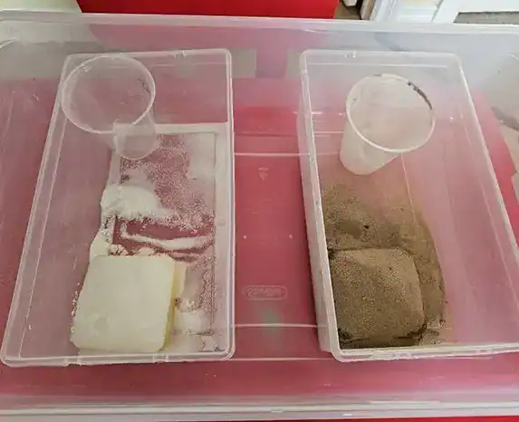 Two trays, one with salt, one with sand